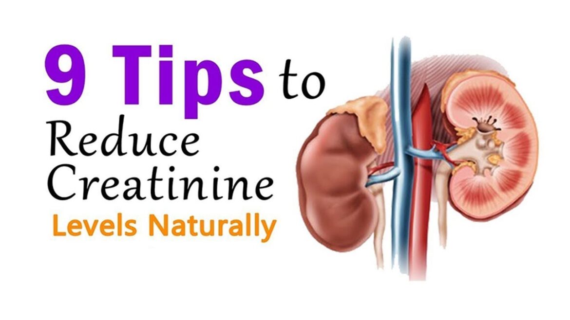 how-to-bring-down-or-reduce-high-creatinine-levels-prevent-kidney