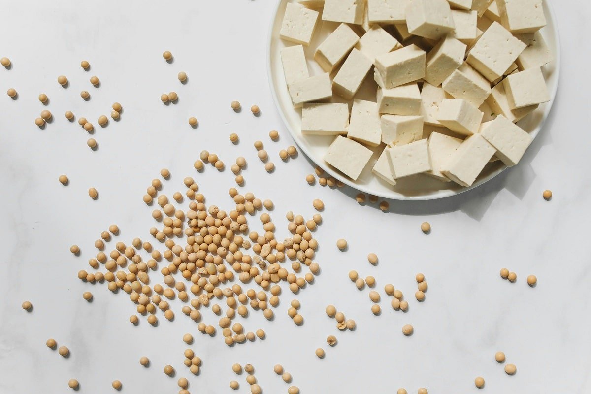 The Role of Soy Protein Concentrate in Teen Nutrition